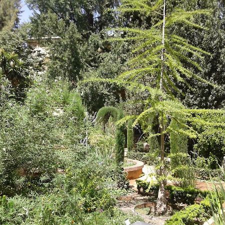 Apartamento Catedral Centro Granada Luaran gambar